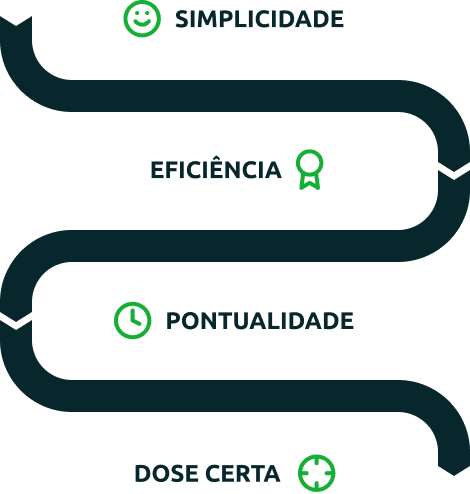 Imagem do fluxo de excelência.