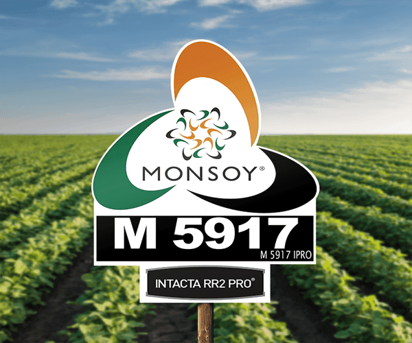 M 5917 IPRO.png