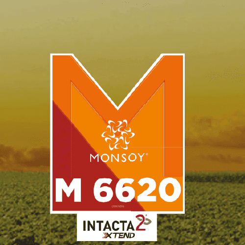 M 6620 I2X.png
