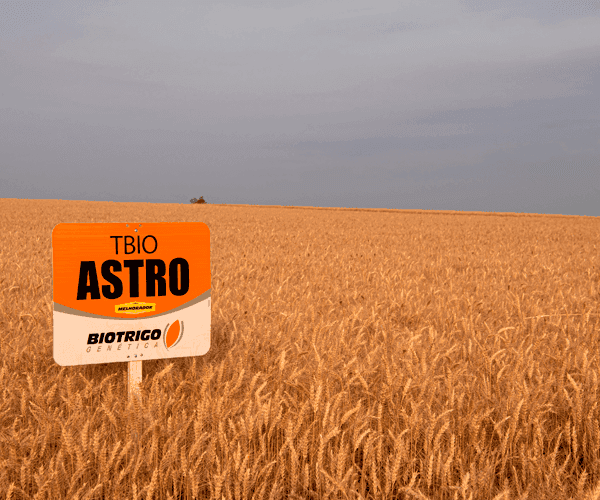 astro.png