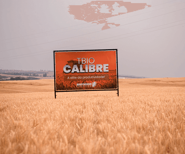 calibre.png